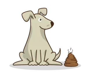 Dog poop cleanup service in calgary