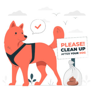 Dog Poop Cleanup in Calgary: A Clean and Safe City